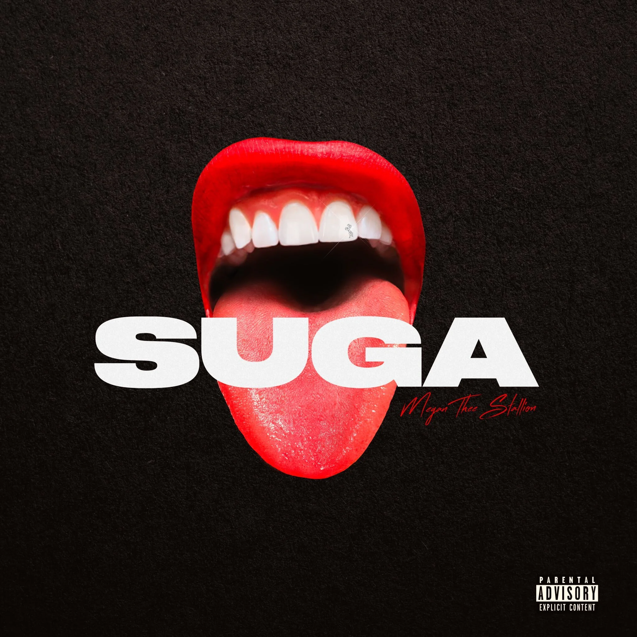 Megan Thee Stallion "Suga" (Copy)
