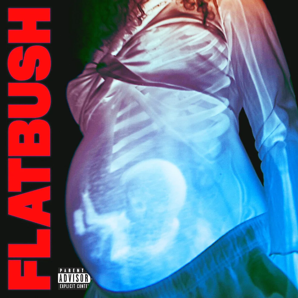 Flatbush Zombie "Afterlife"