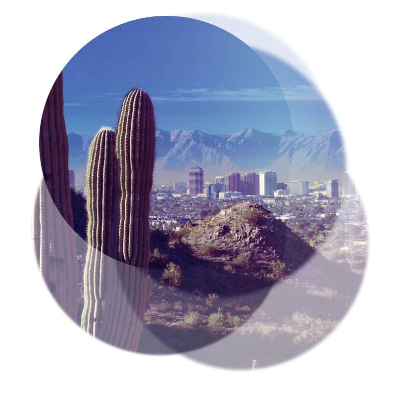 PHOENIX 01