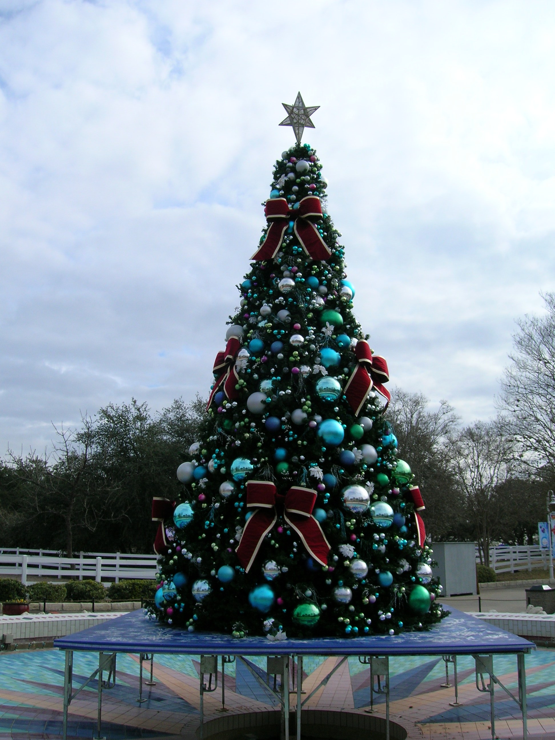 Christmas Tree