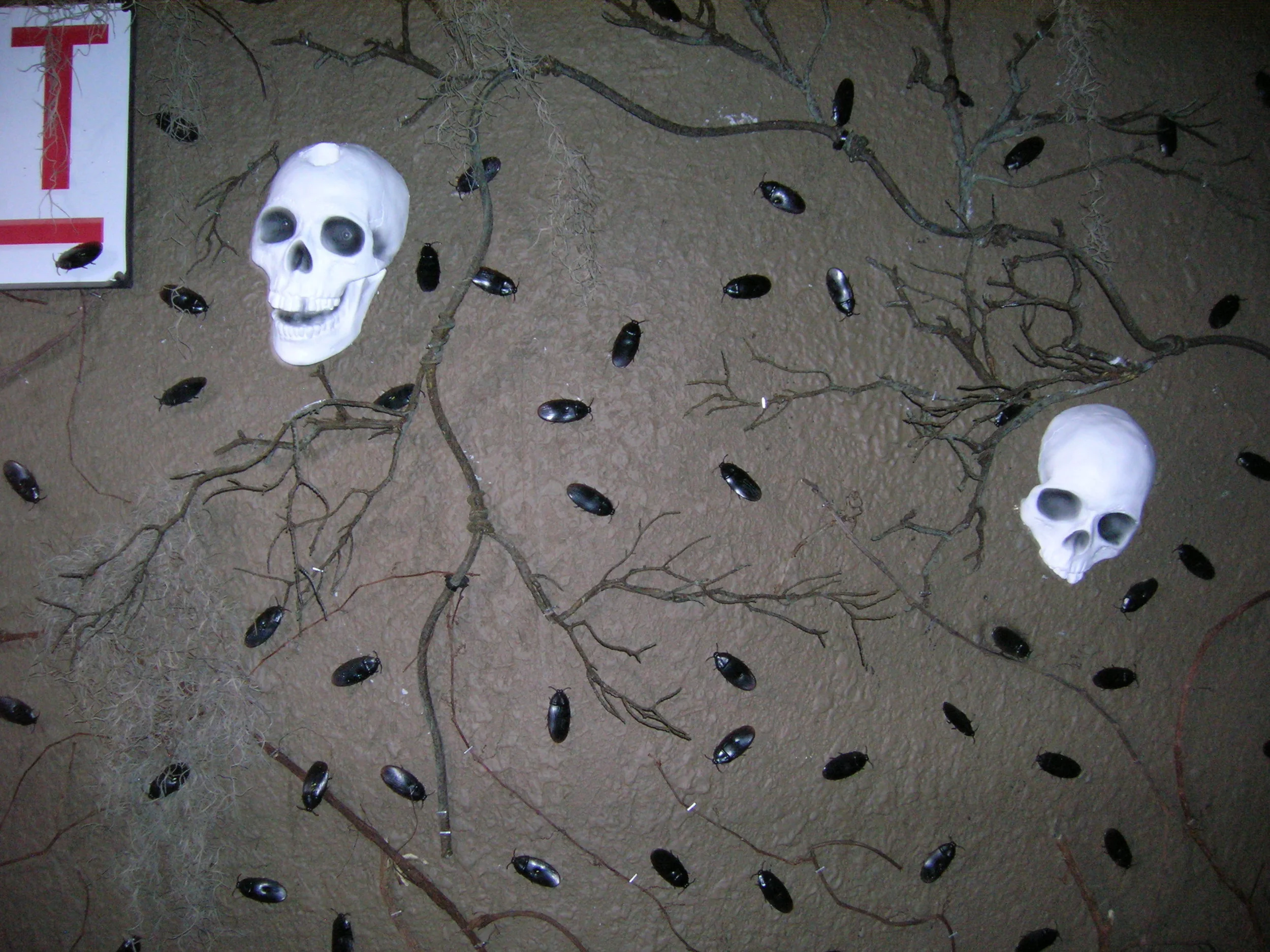 Creepy Crawlies Scene