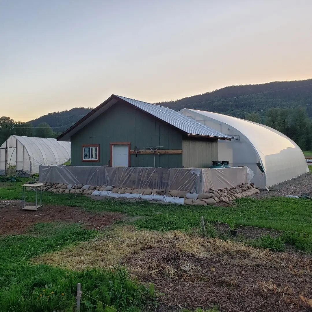 The fields are empty and the river is full, but it's not flowing into our end of the farm yet.

Stay tuned for updates tomorrow, and THANK YOU SO MUCH to everyone who showed up today to get produce out of the fields and put the flood walls up. The ri