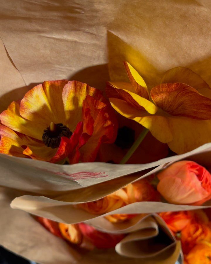 Wow. Wow. WOW! Mothers Day Week is going to be FULL of so many special bunches of blooms! Come on in and grab something truly spectacular! Check out our hours in the shortcut carousel or on our website!