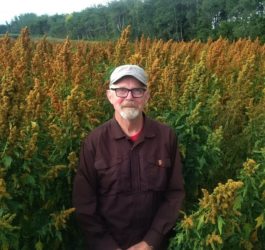Percy - MB Quinoa.jpg