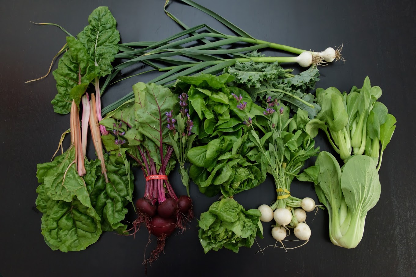 SubEdge CSA Week 1- 4.JPG