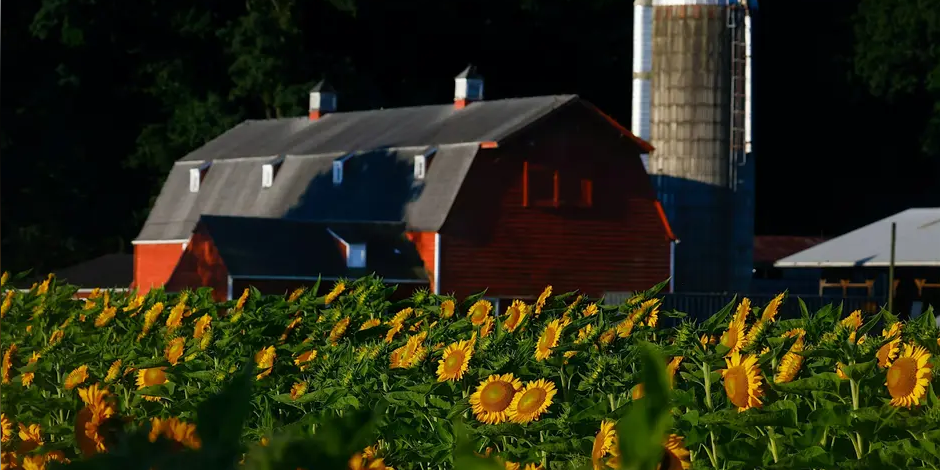 Harvest Dinner at Sub Edge Farm - DINING ON THE EDGE