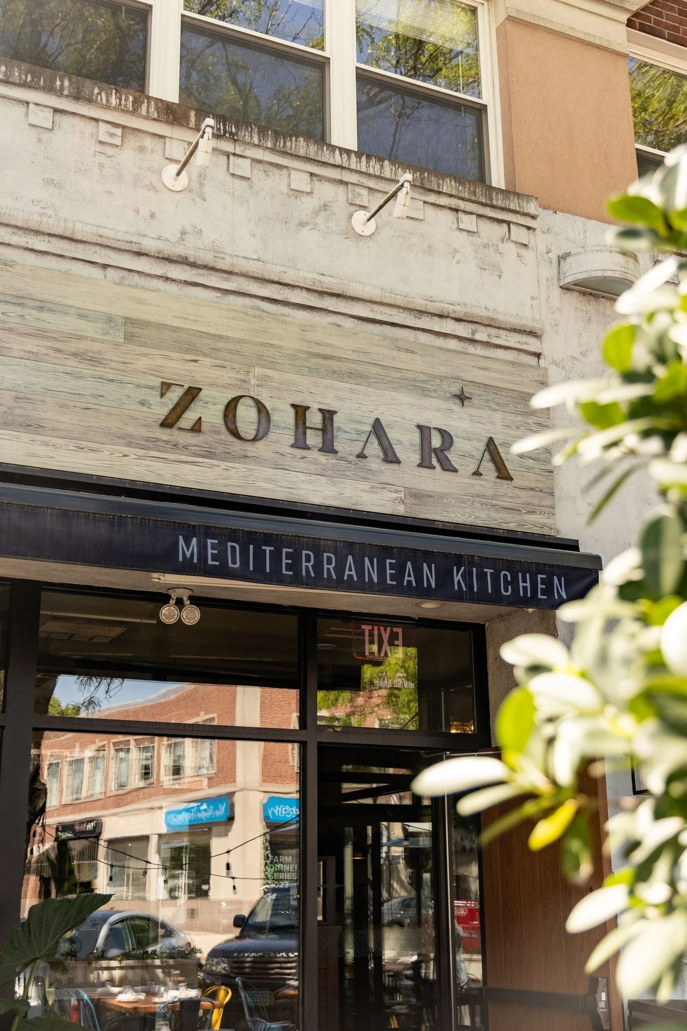 zohara.jpg