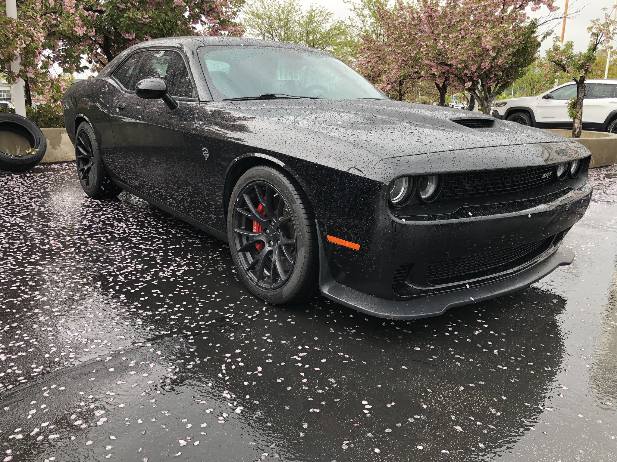 Dodge Challenger After Matte Black Wheel Paint