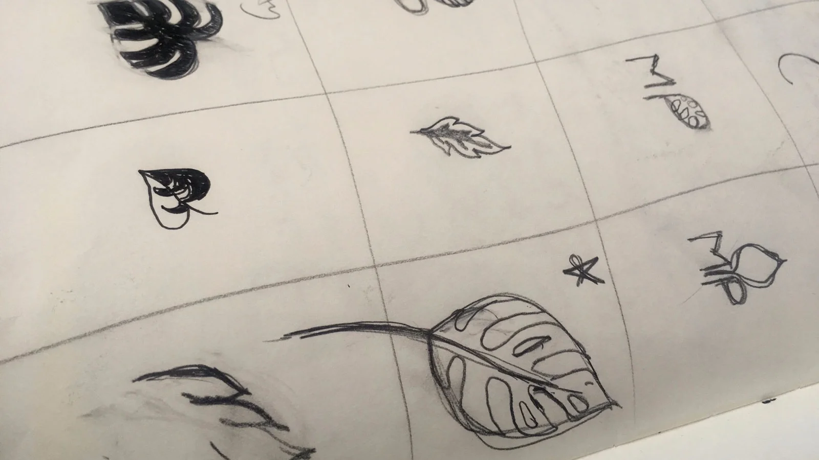 Sketches