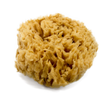 Naturalna gąbka morska