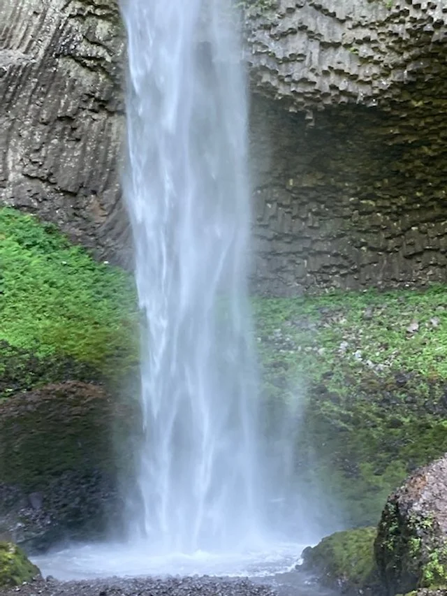 Can your group afford to have a Fundraising Gala?  