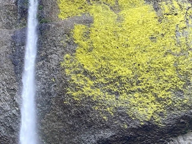 Want to confuse and annoy your donors? Didn't think so...