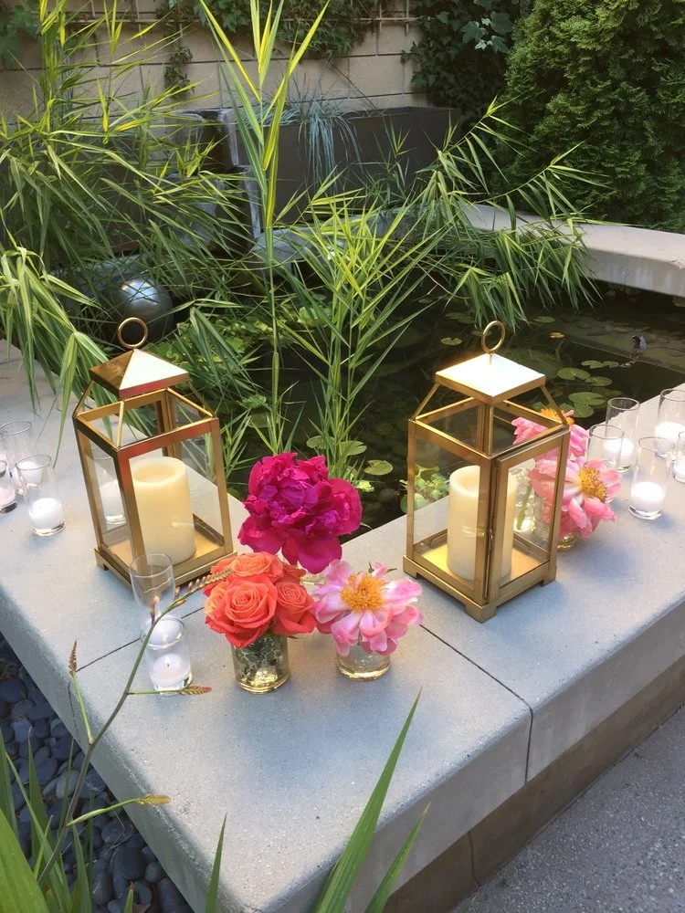  A Gallery Lily Pond in the Sculpture Garden 