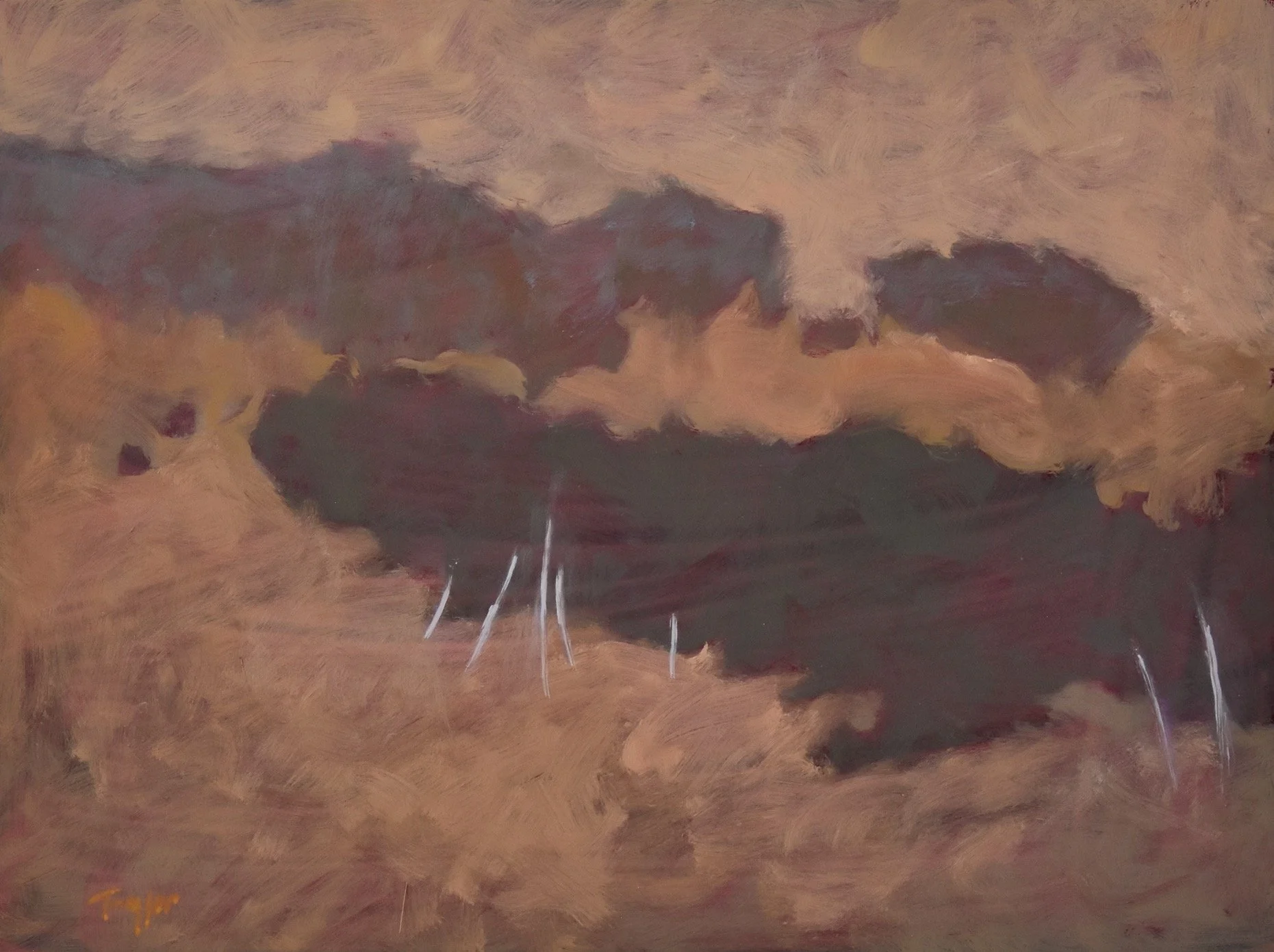 PA24019-Andy Taylor-oil on board-16x12.jpg