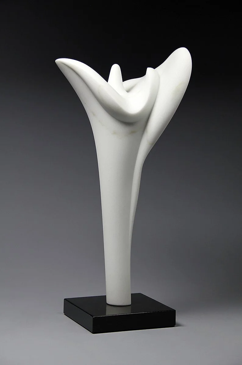 RYOICHI SUZUKI