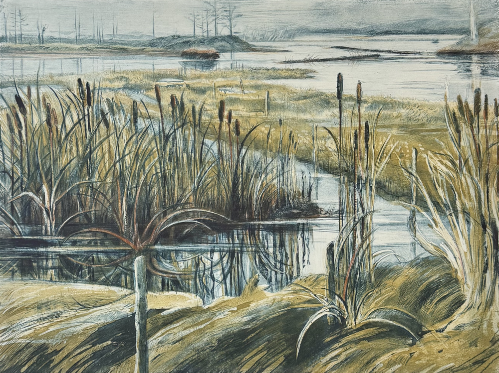 Liza+Jones,+Cattails,+etching+23-75,+22.5x18.75.+$400.png.webp