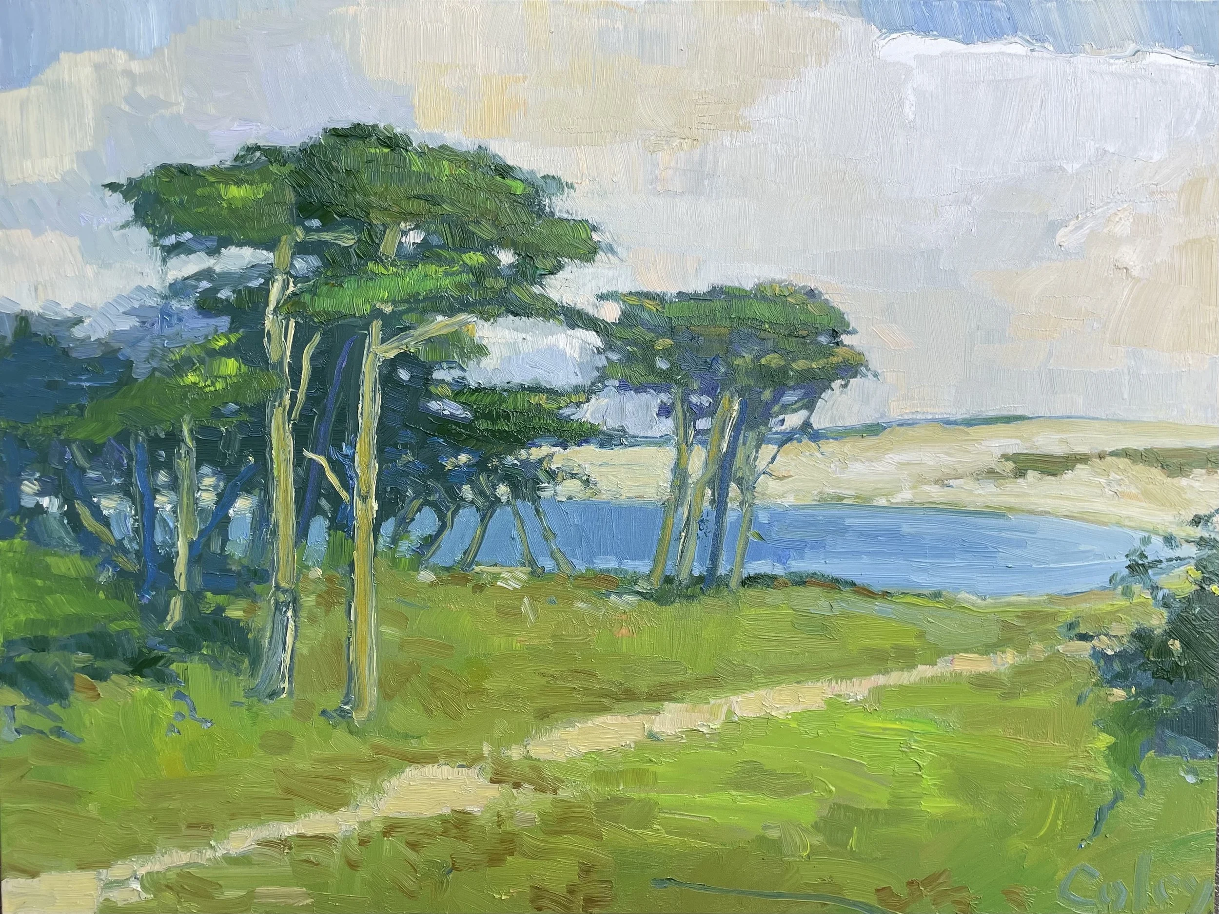 Deer Trail #19, 36x48%22.jpeg