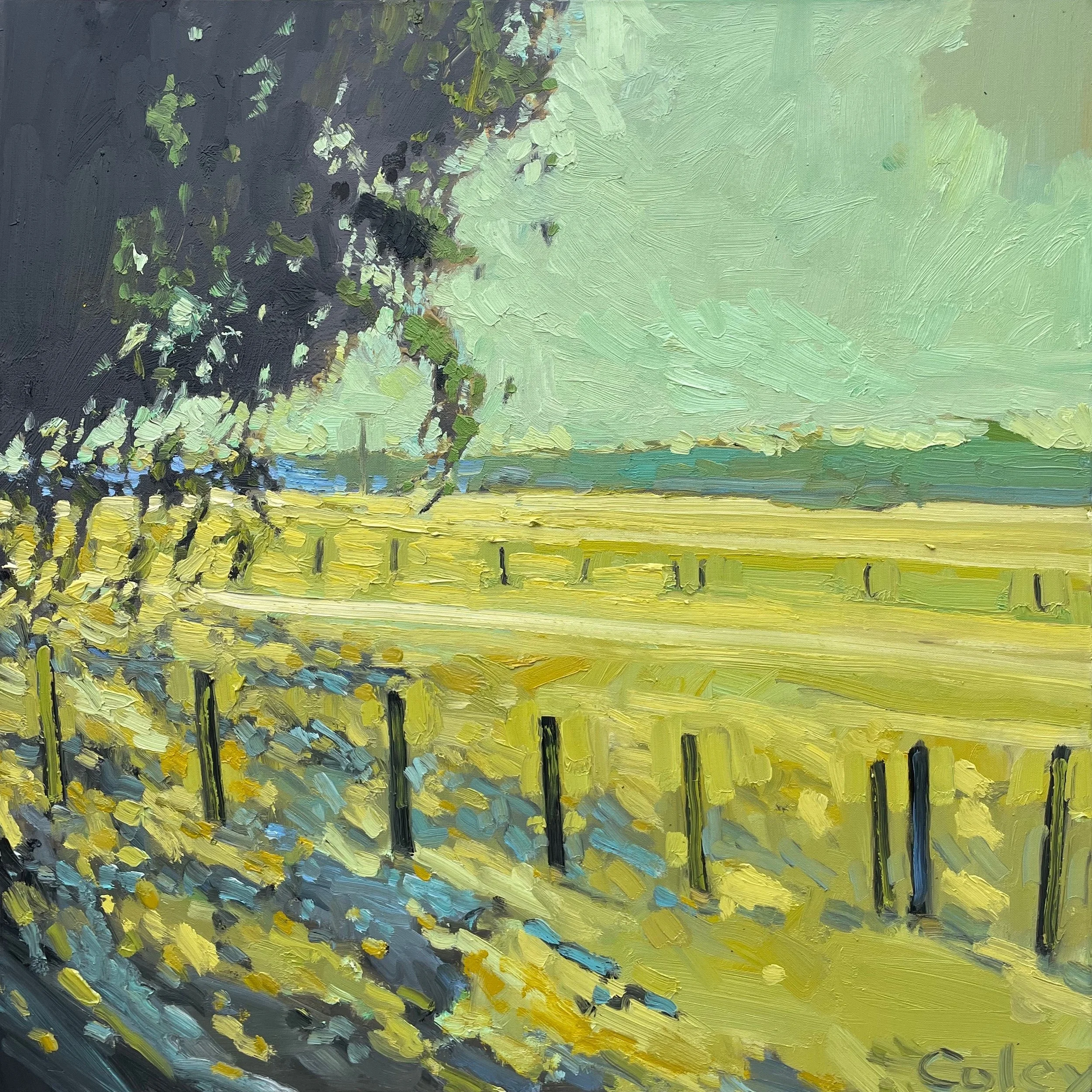 NICHOLAS COLEY