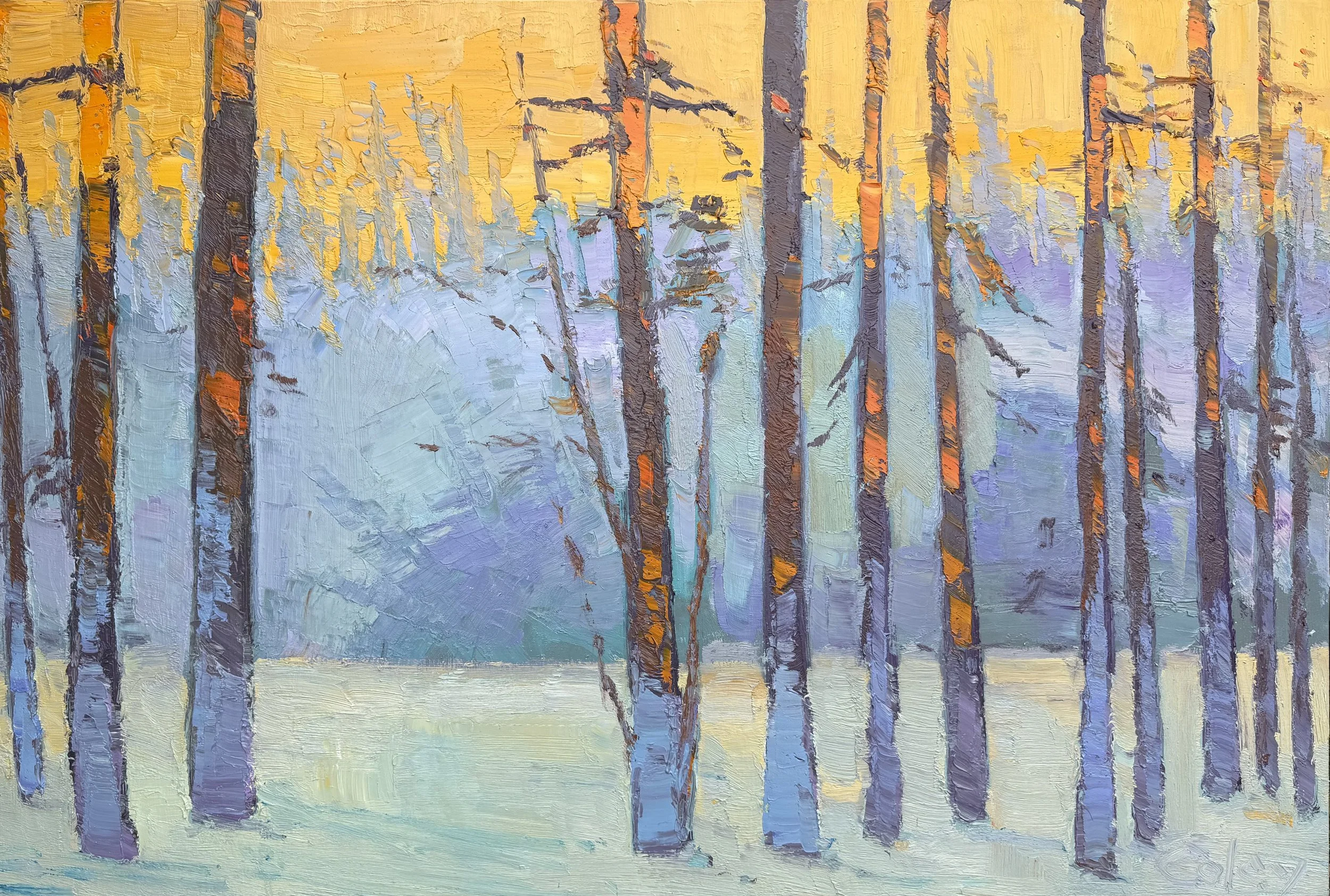 Nicholas Coley, January Winter #8, 60x40.jpeg