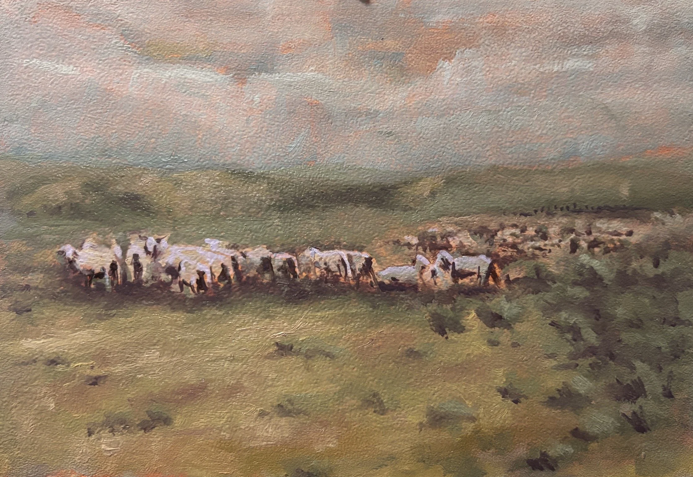 image1.jpeg
