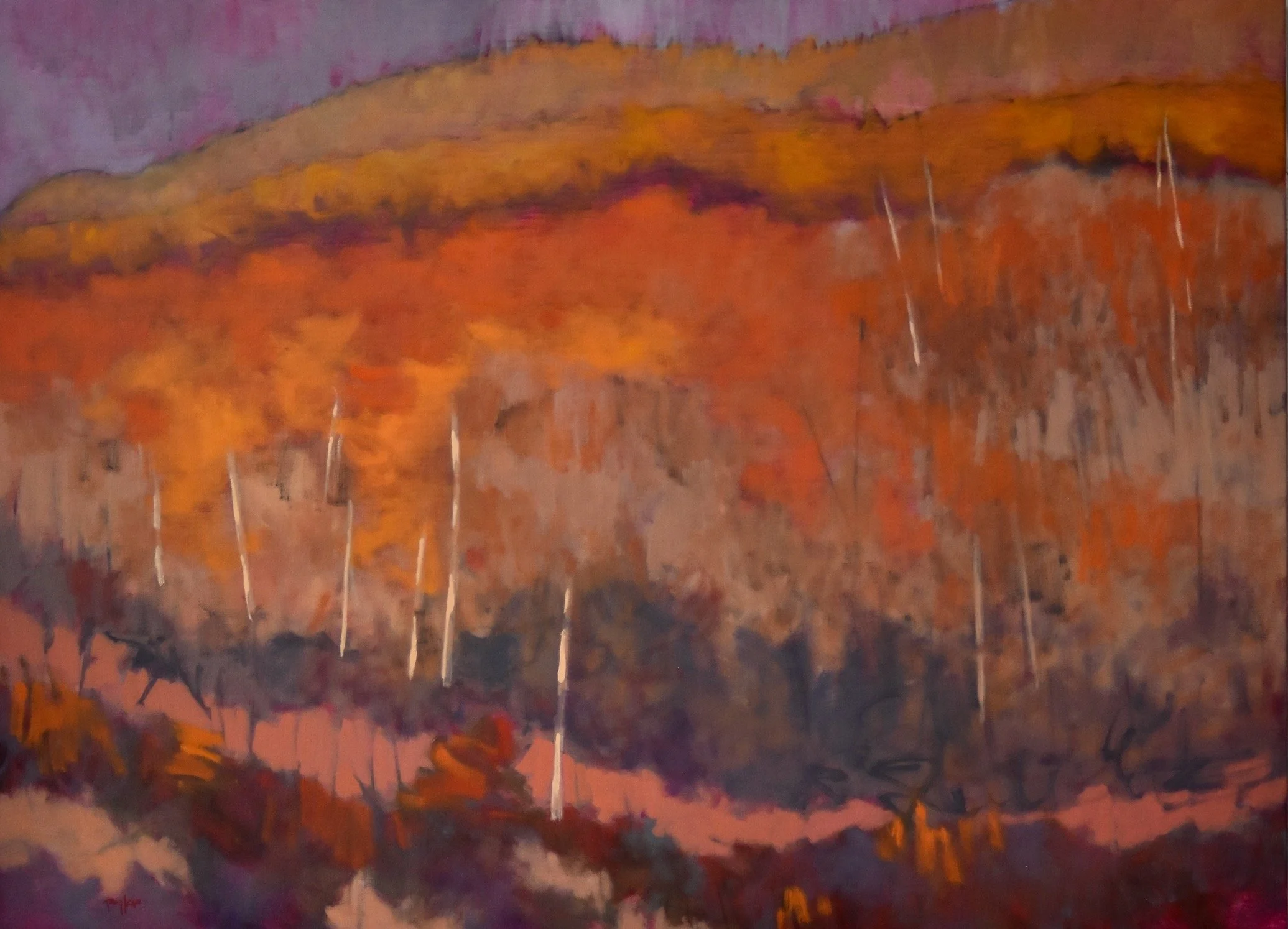 Almizclado_Andy Taylor.jpeg