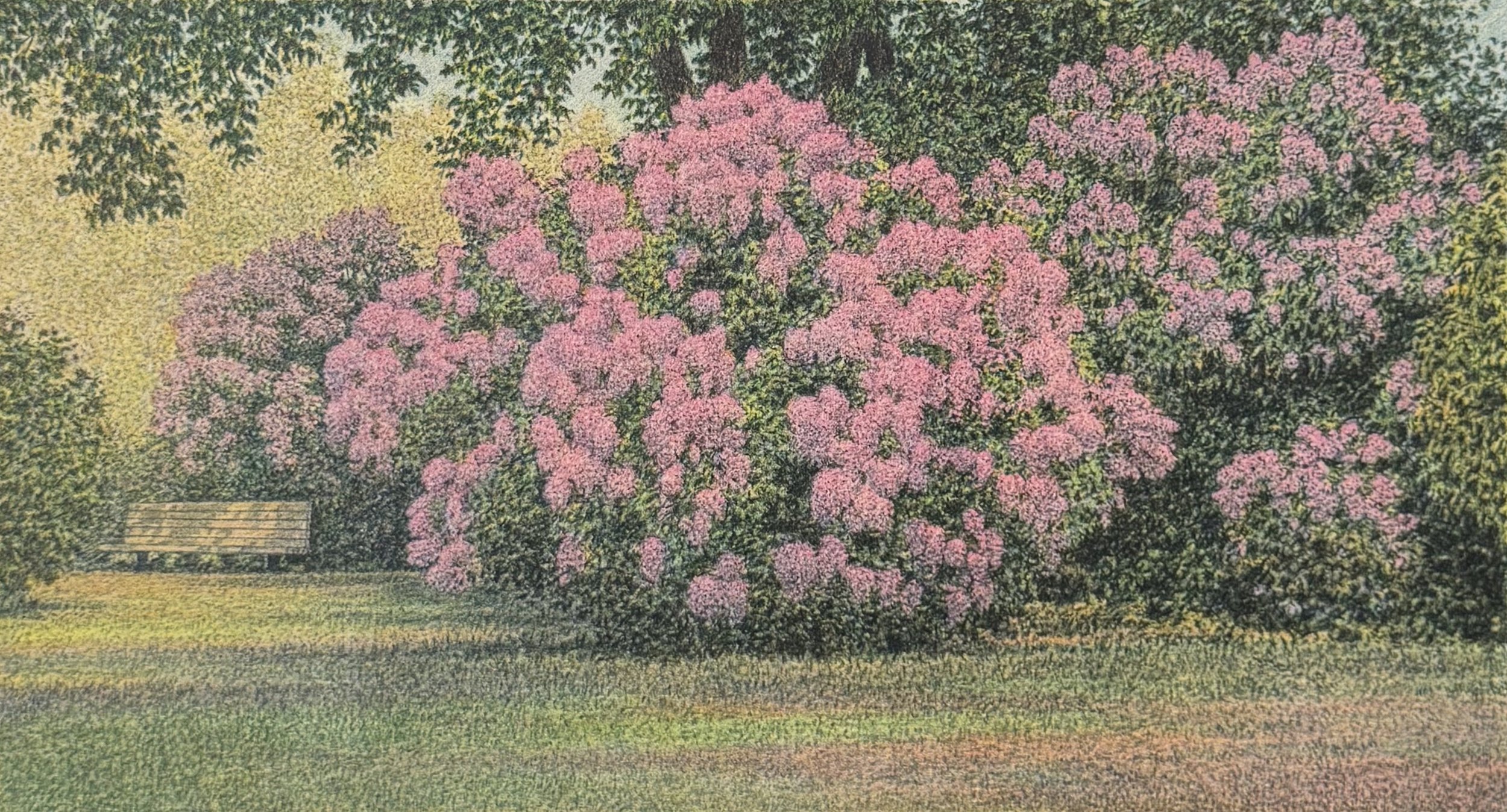 Carl Hoffner, Park Bench, lithograph 97:180, 21.75x14, $200.jpeg
