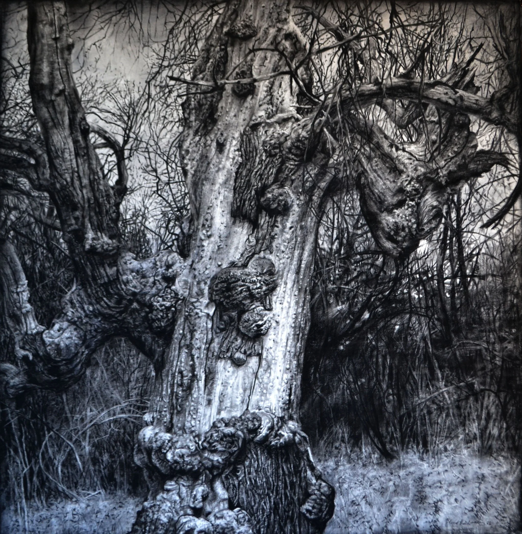 If the Silence Takes You (Terrel VanLeeuwen) - 2.jpg