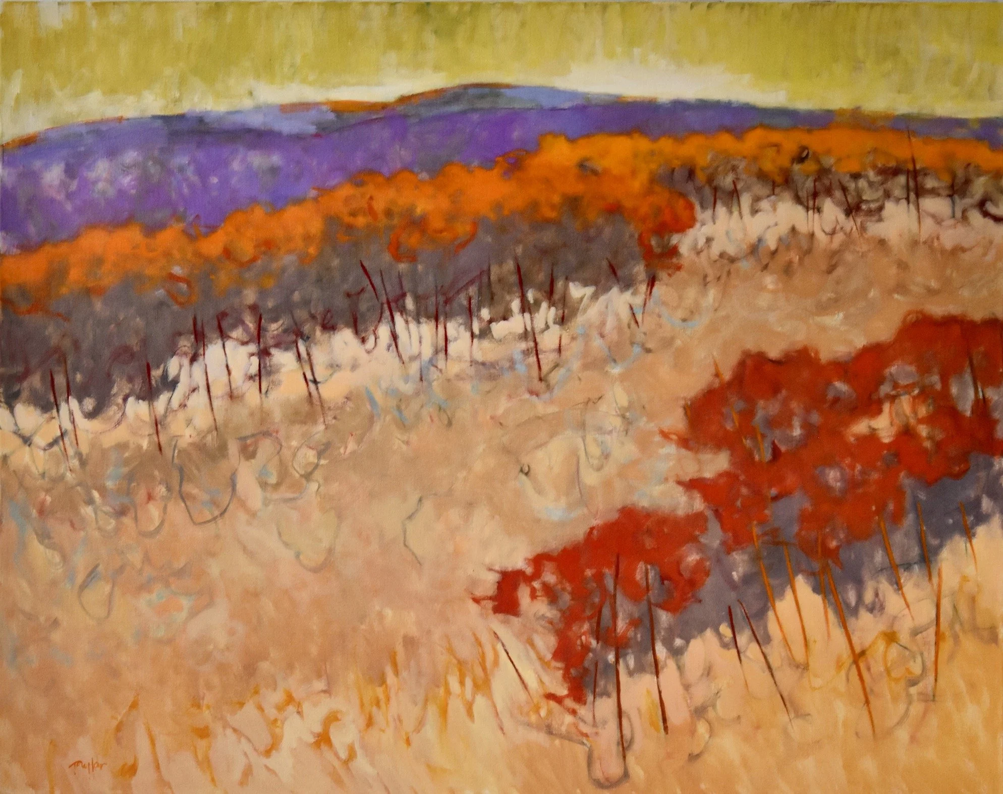 Andy Taylor, Braided, oil on linen, 37x47 in. $7900.jpeg