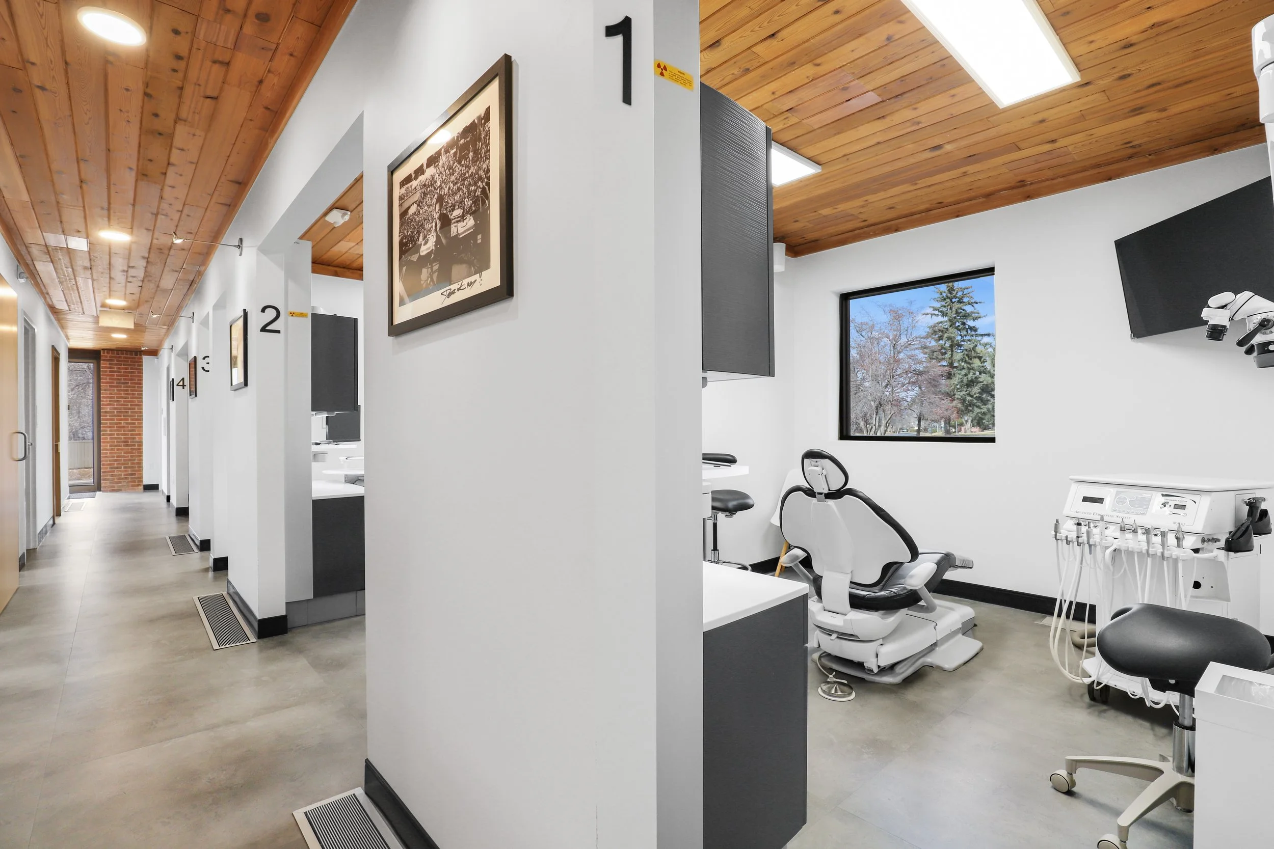 Warner Endodontics