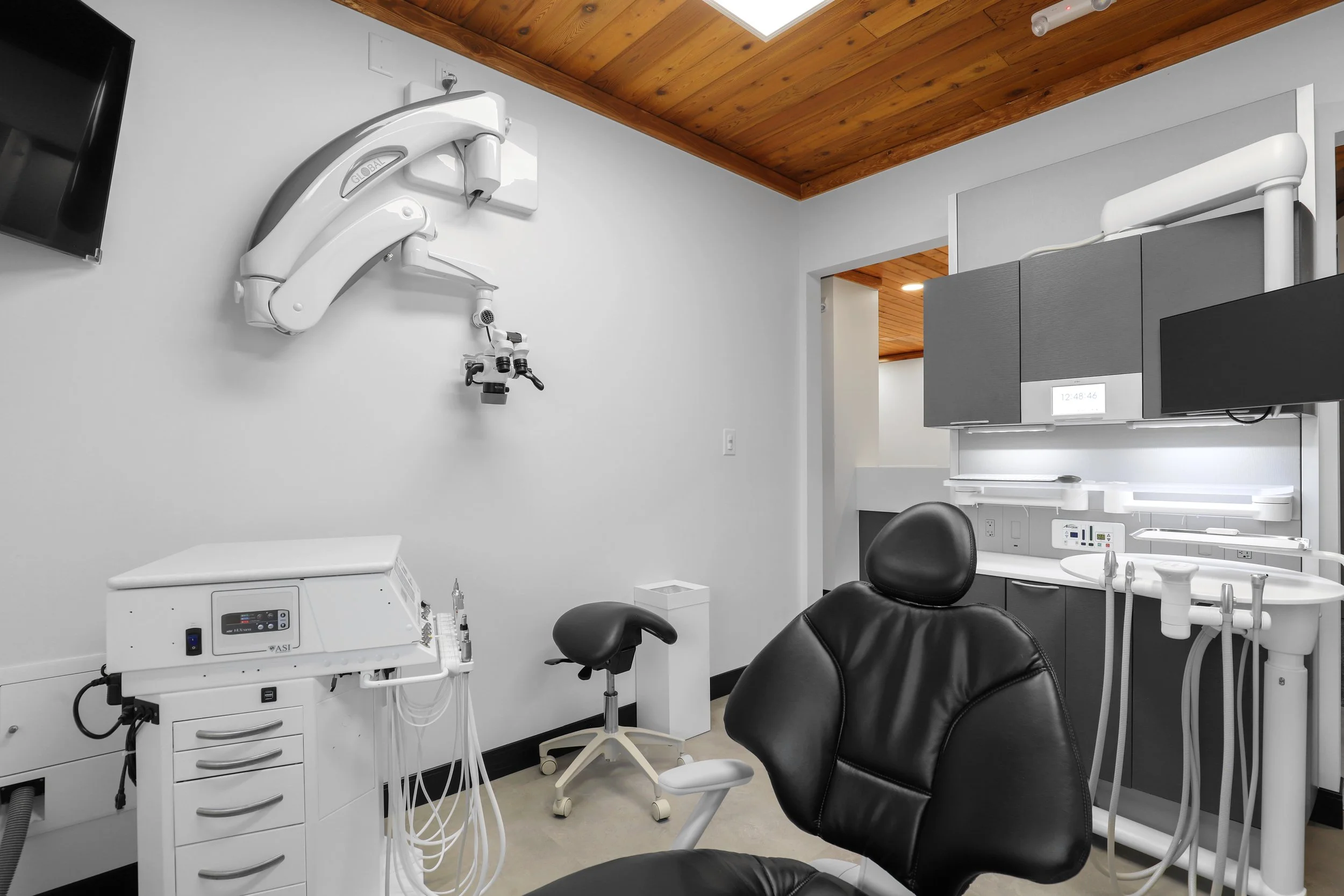 Warner Endodontics