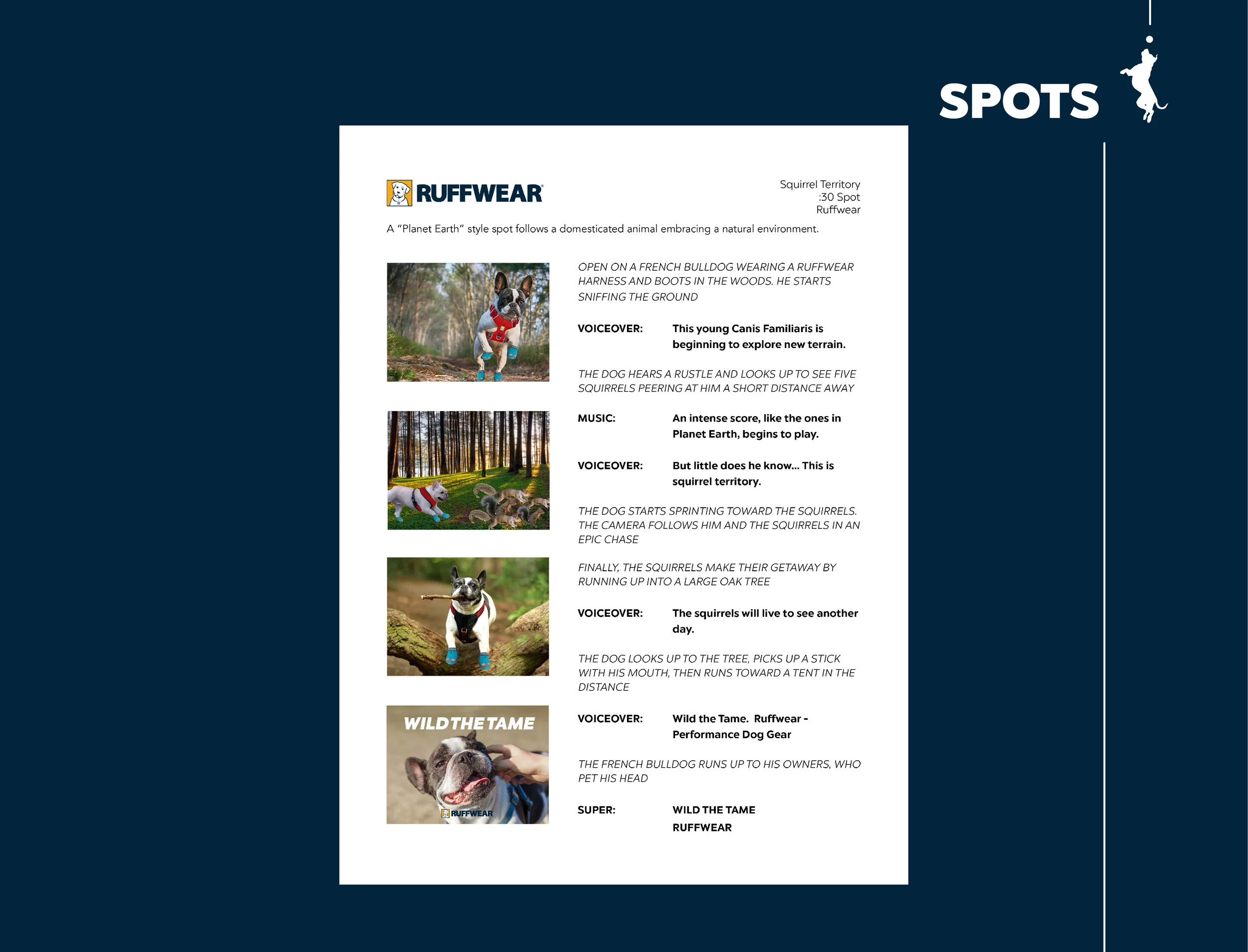 Ruffwear_scroll-02.jpg