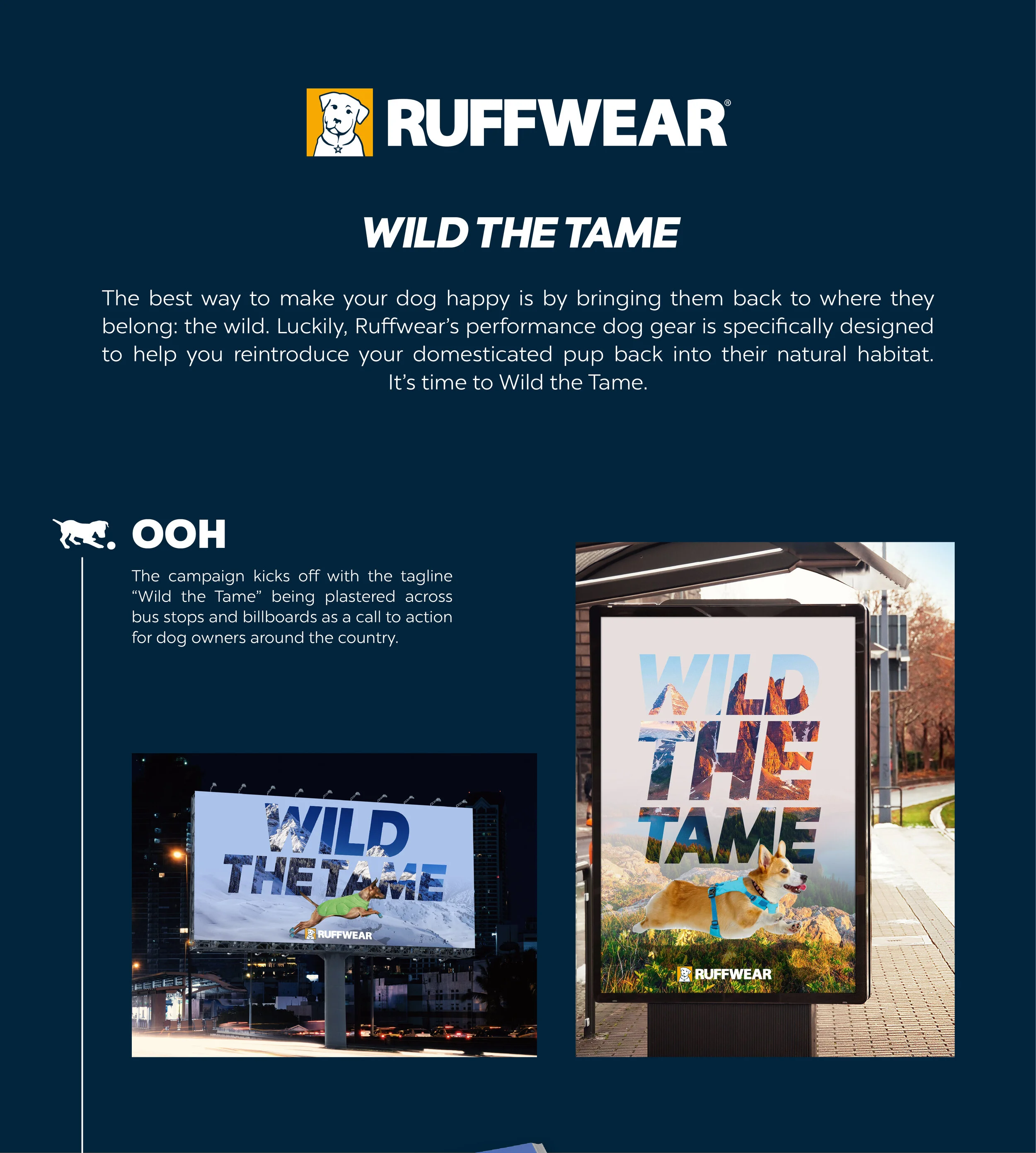 Ruffwear_scroll-01.jpg