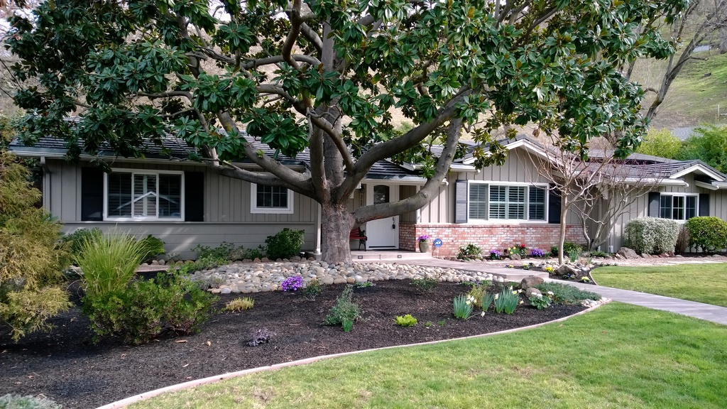 Walnut Creek, CA