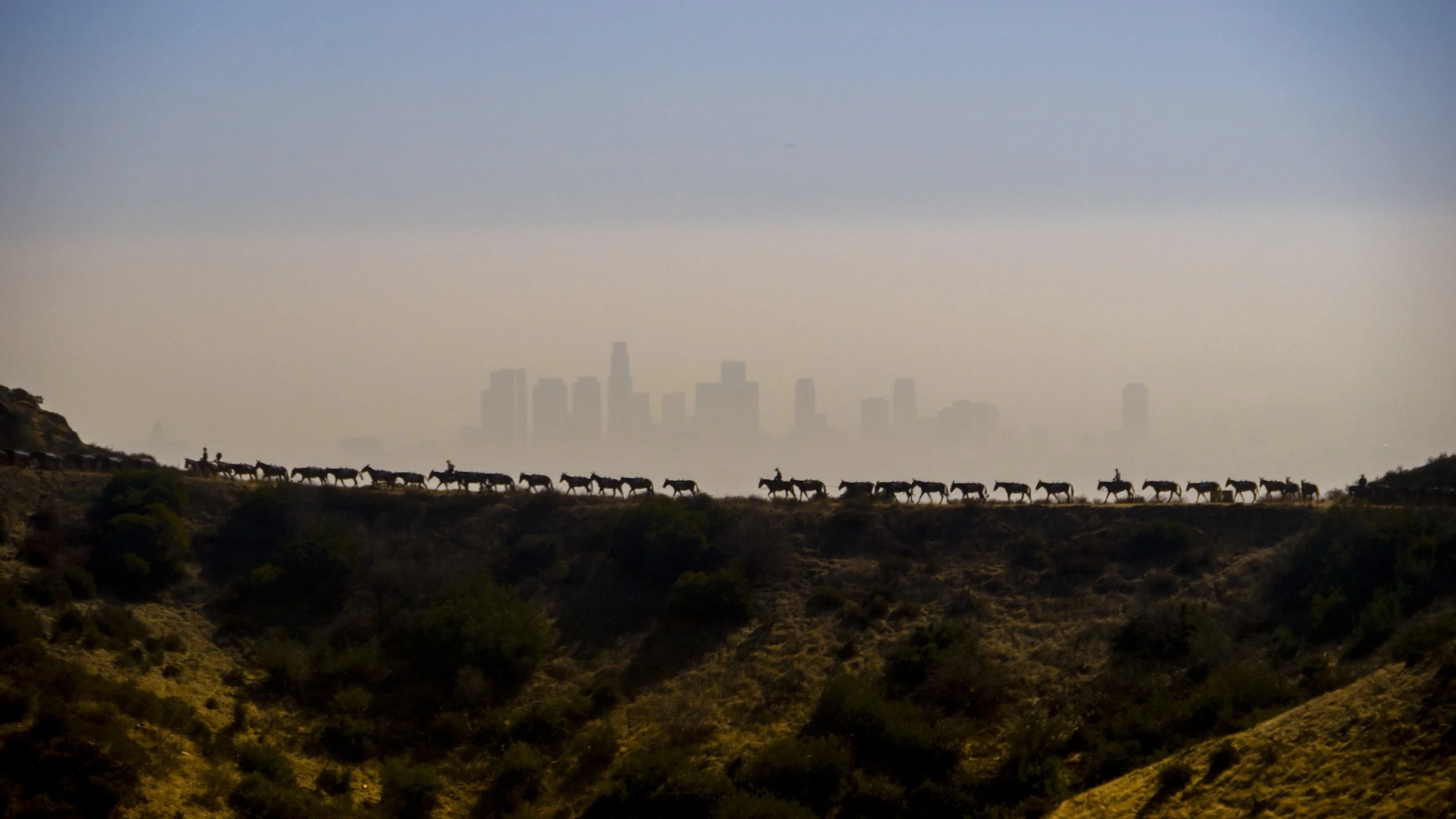 100 mules_MetabolicStudio_2014_3950_Photo-Joshua_White-1050574.JPG