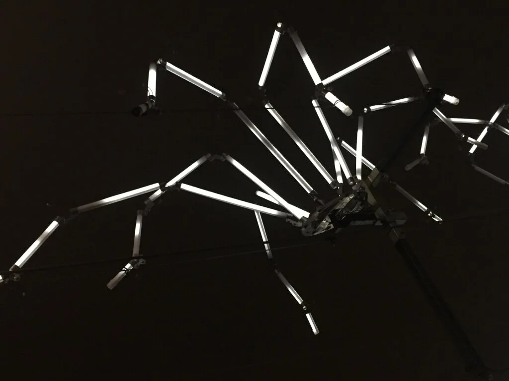 Amsterdam Light Festival