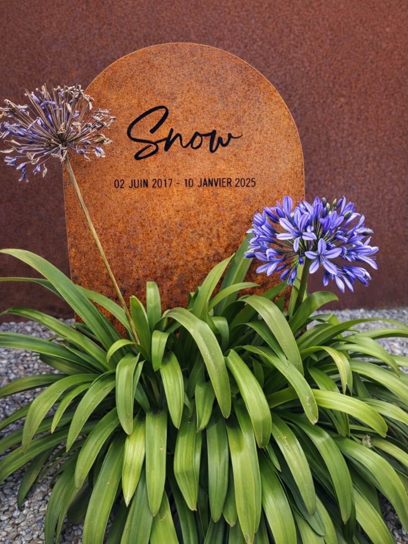 🐈🦮 Nos compagnons &agrave; quatre pattes sont des v&eacute;ritables membres de la famille, ils partagent nos vie pendant des ann&eacute;es.

Quand ils partent, il reste l&rsquo;amour&hellip; et les souvenirs.😢

Chez @metallerie66, nous cr&eacute;o