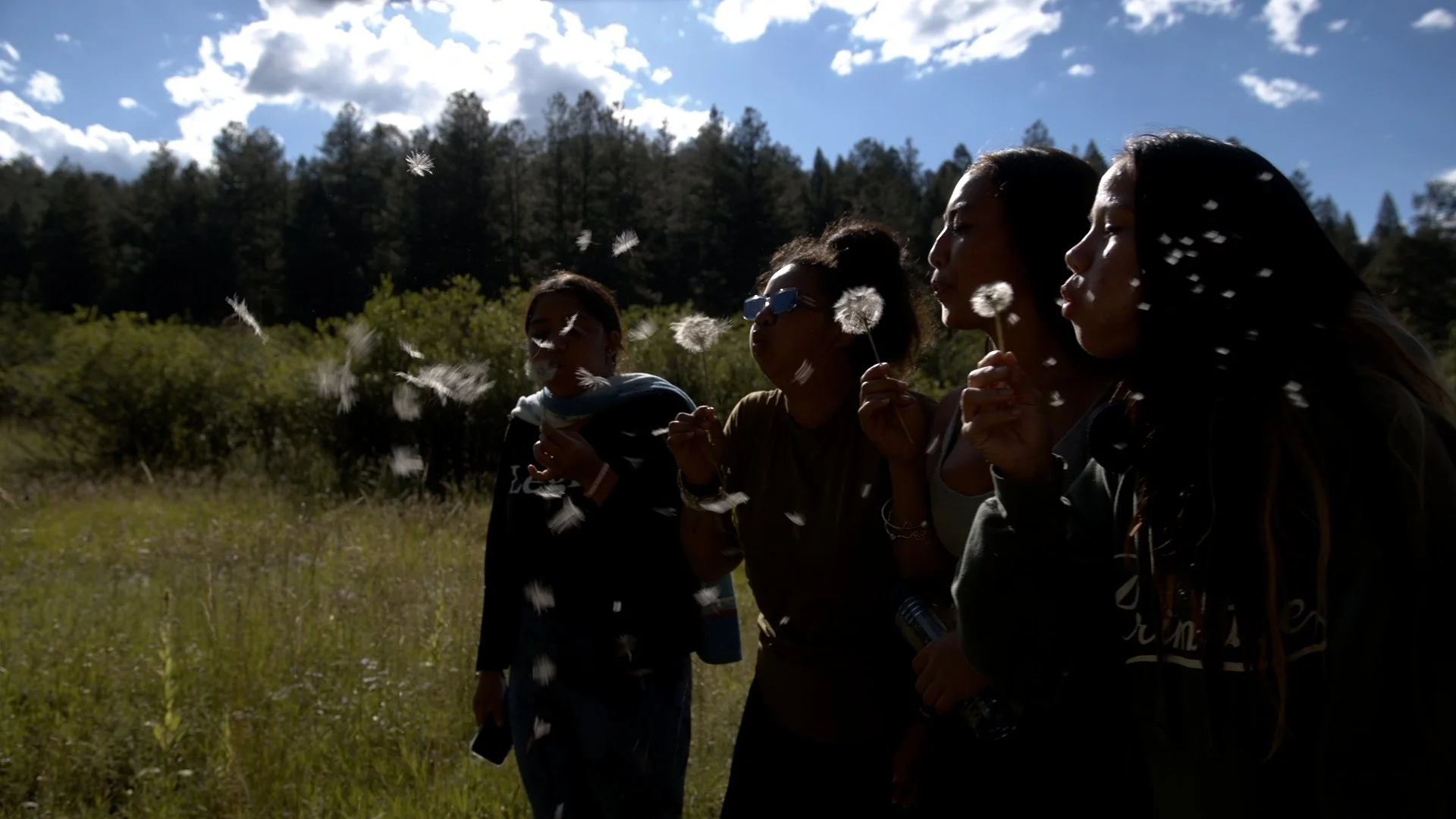 Timeline 2_00_00_16_05.jpeg