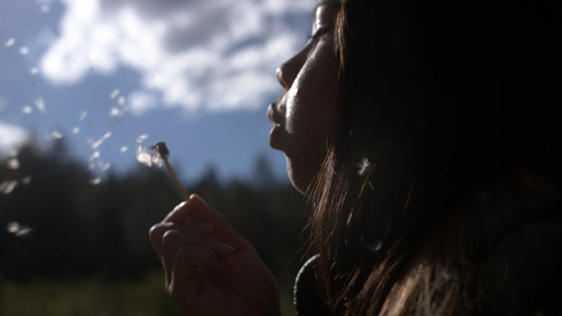 Timeline 2_00_00_18_22.jpeg