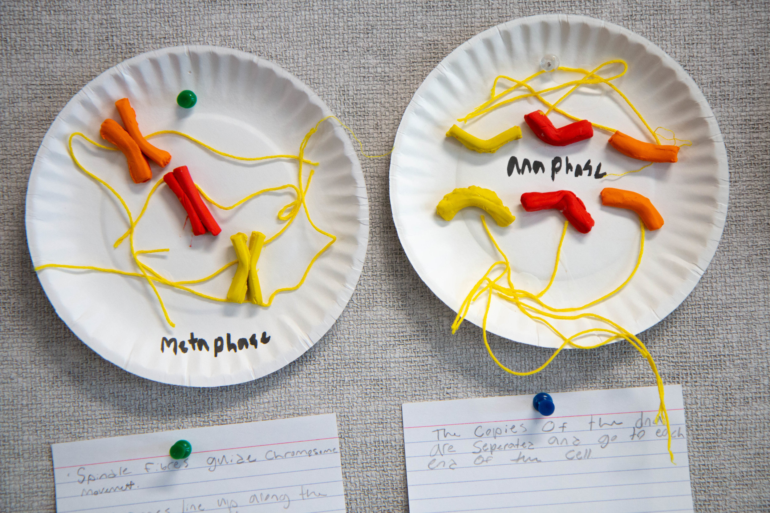 Science-MYP_MG_0582.jpg