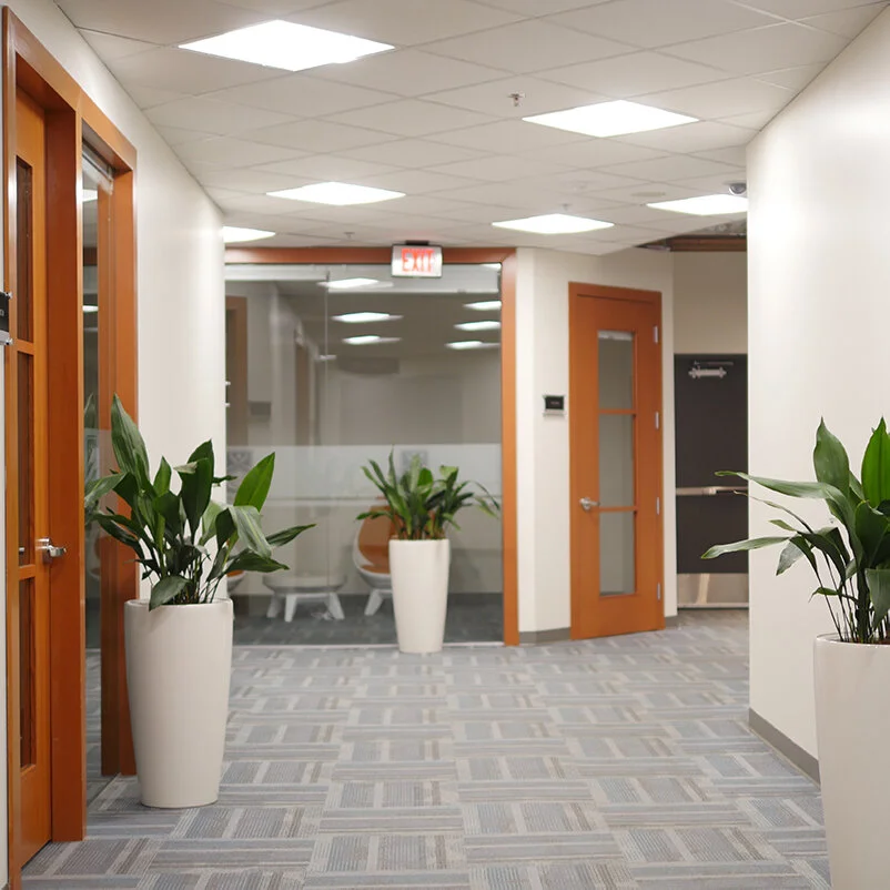 Modern Facility.jpg