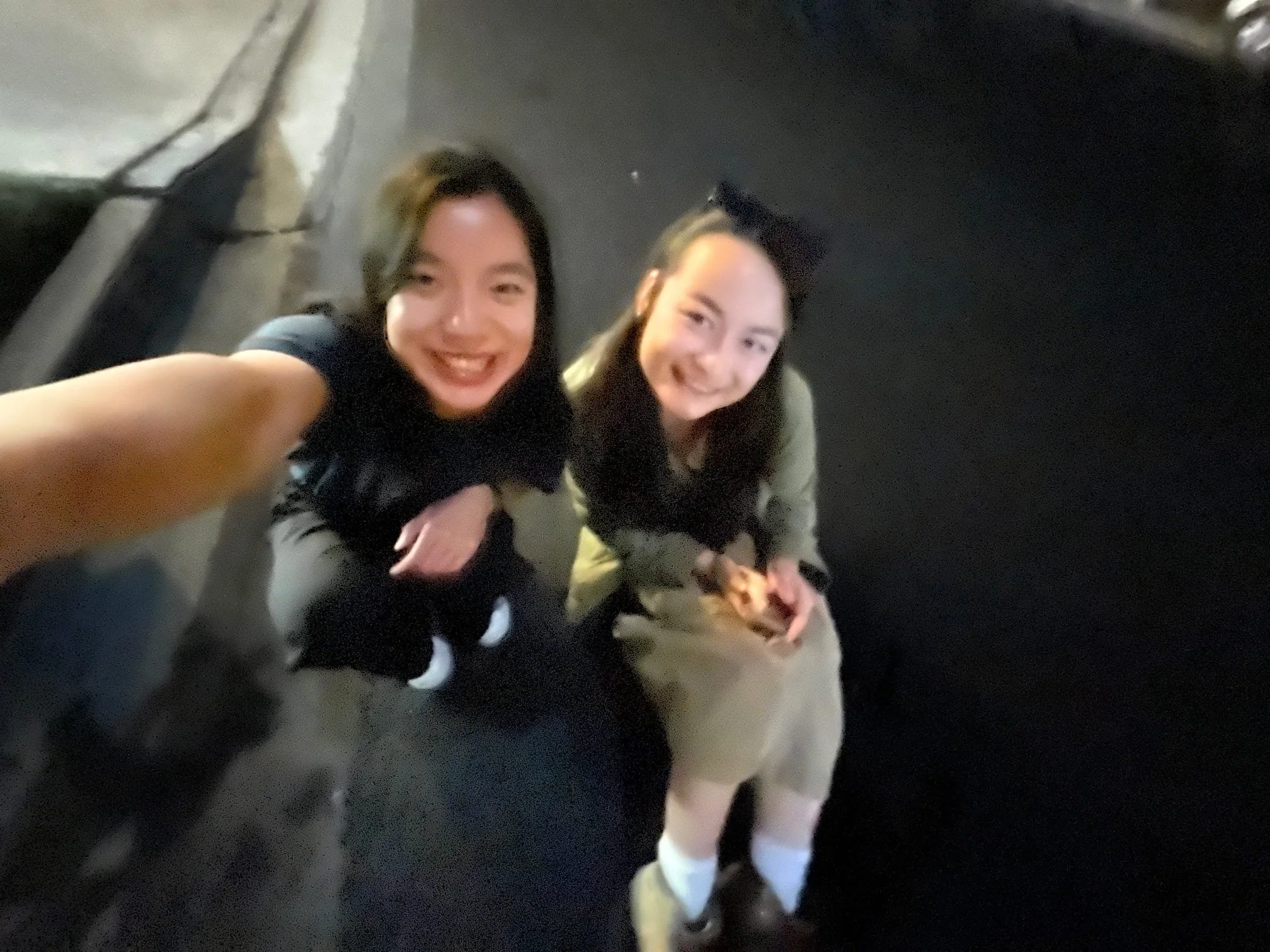 20260304_022824_4EB5E4.jpeg