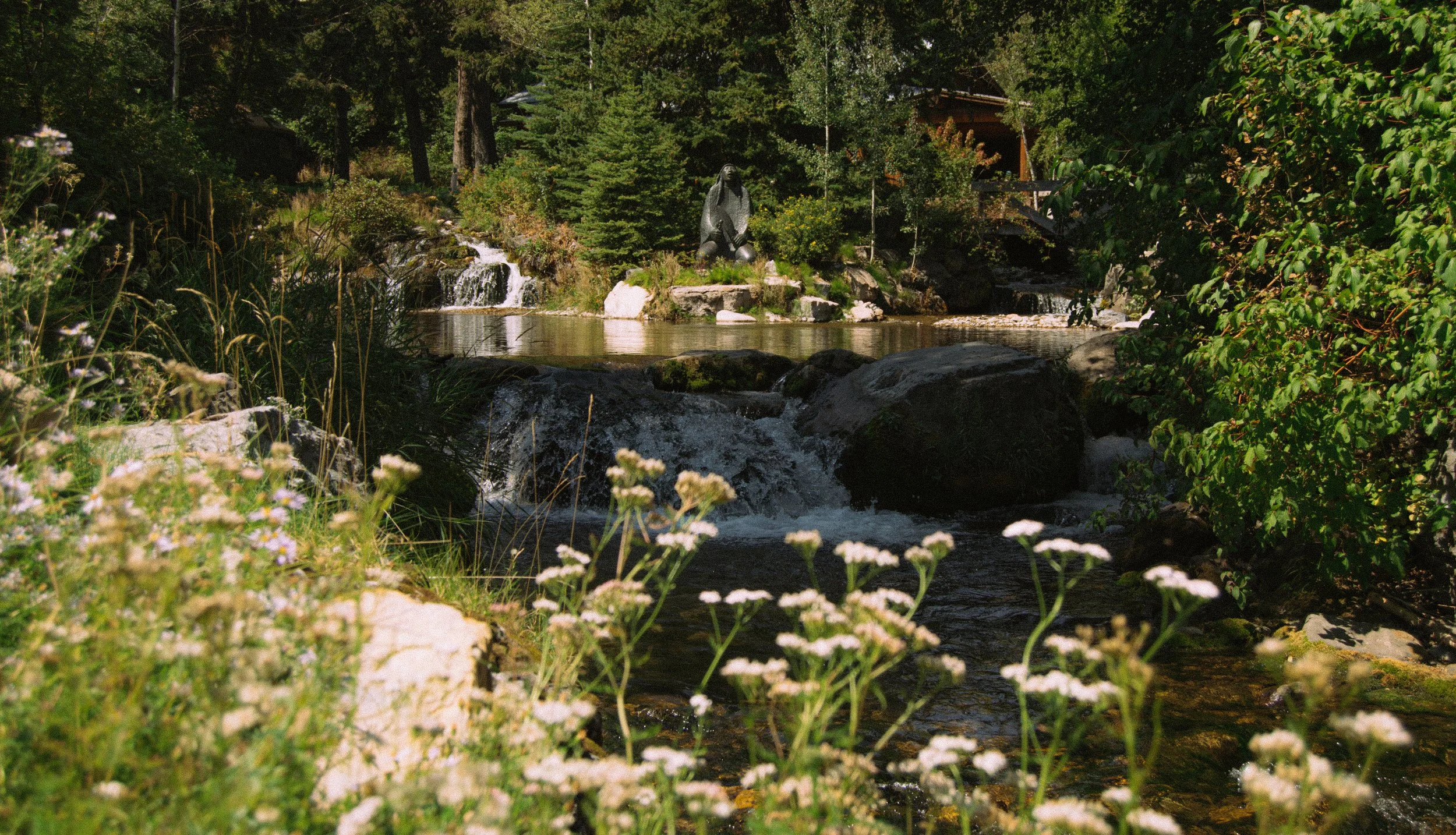 DSC_0041-2.jpg