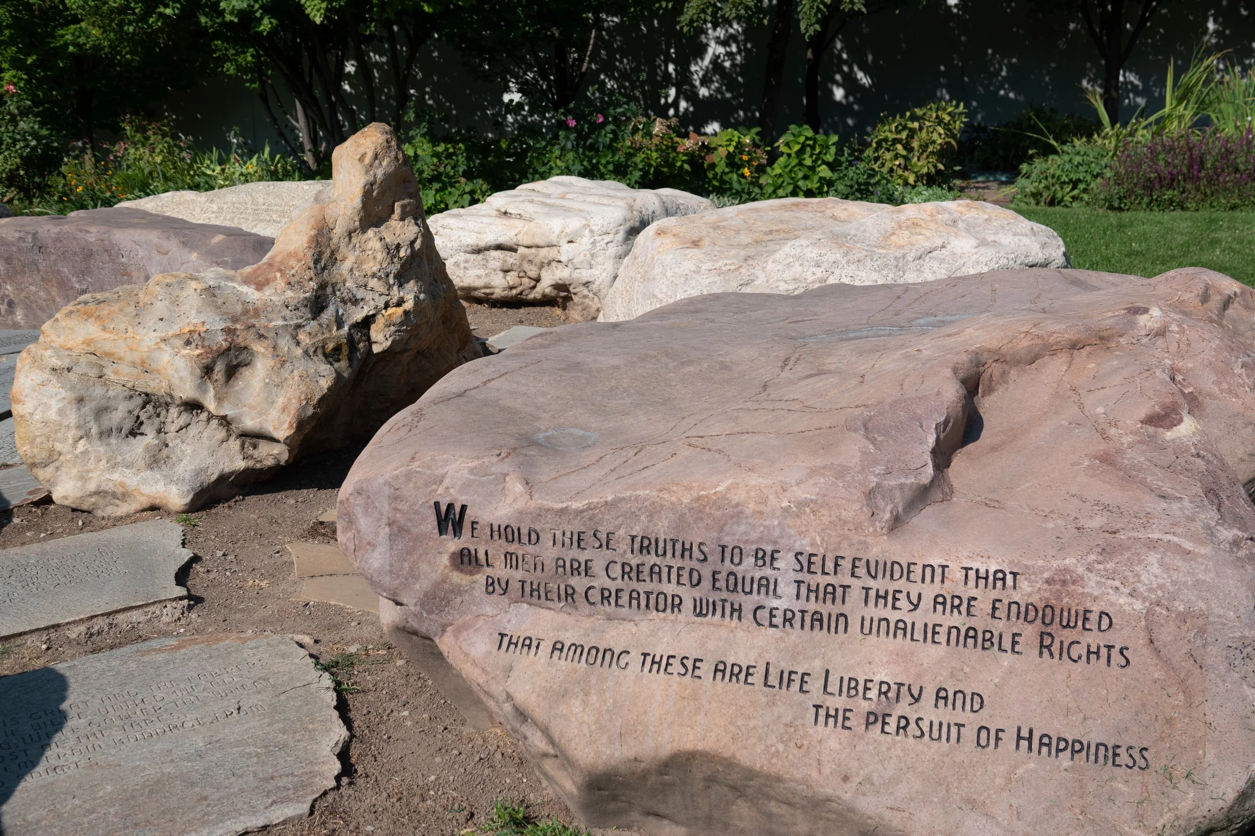 DSC01573.jpg