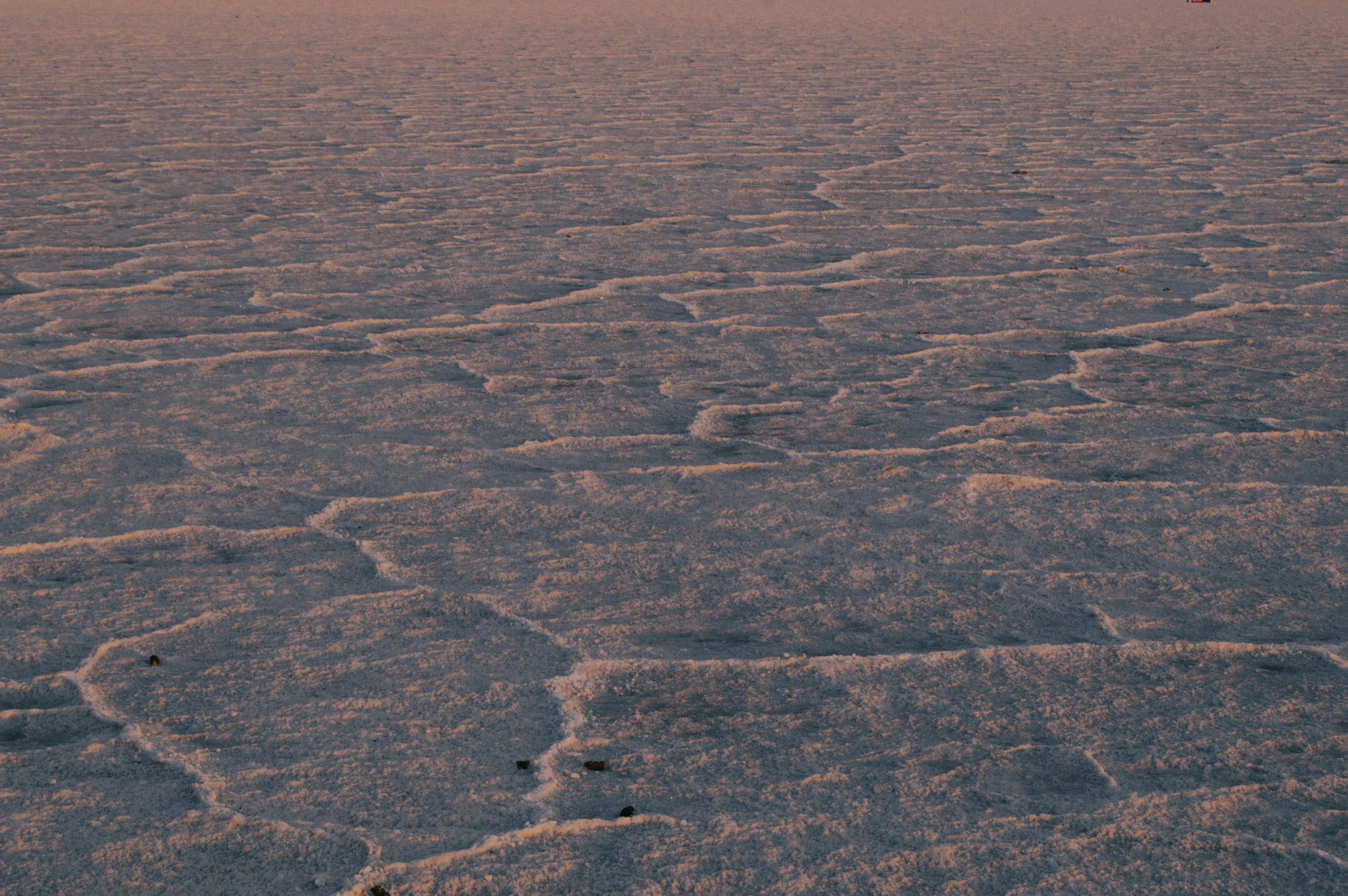 DSC_0934.jpg