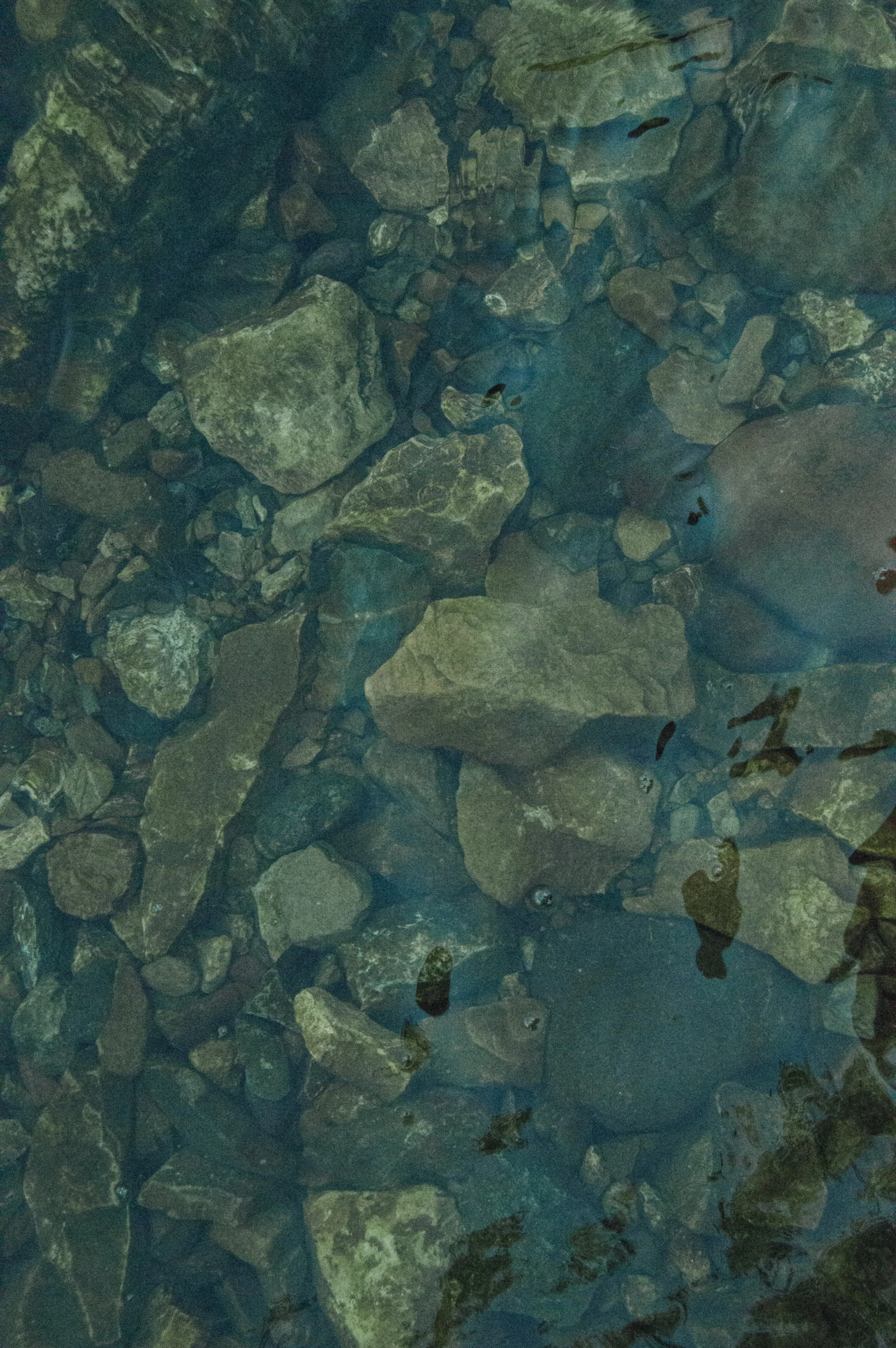 DSC_0724.jpg