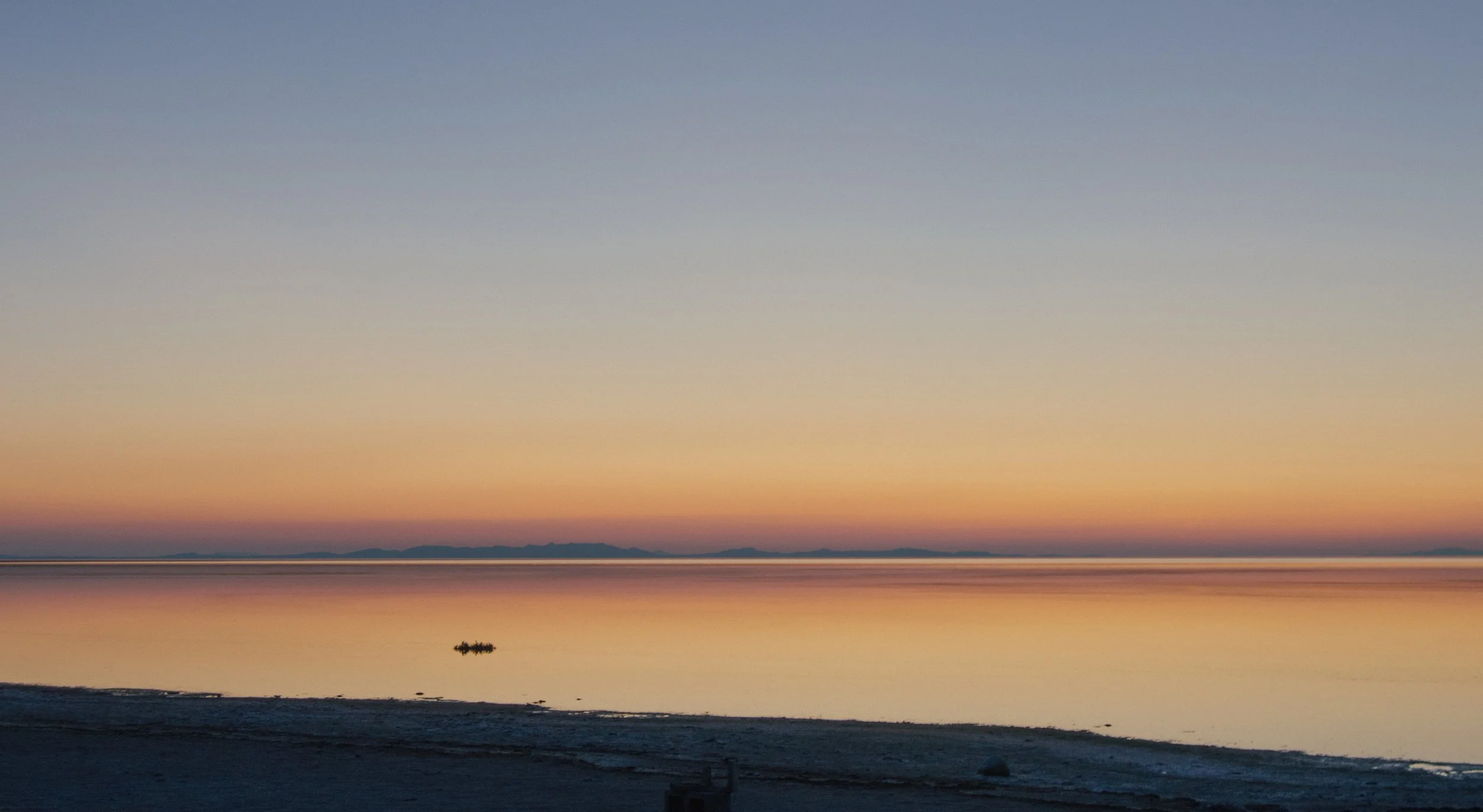 DSC_0887.jpg