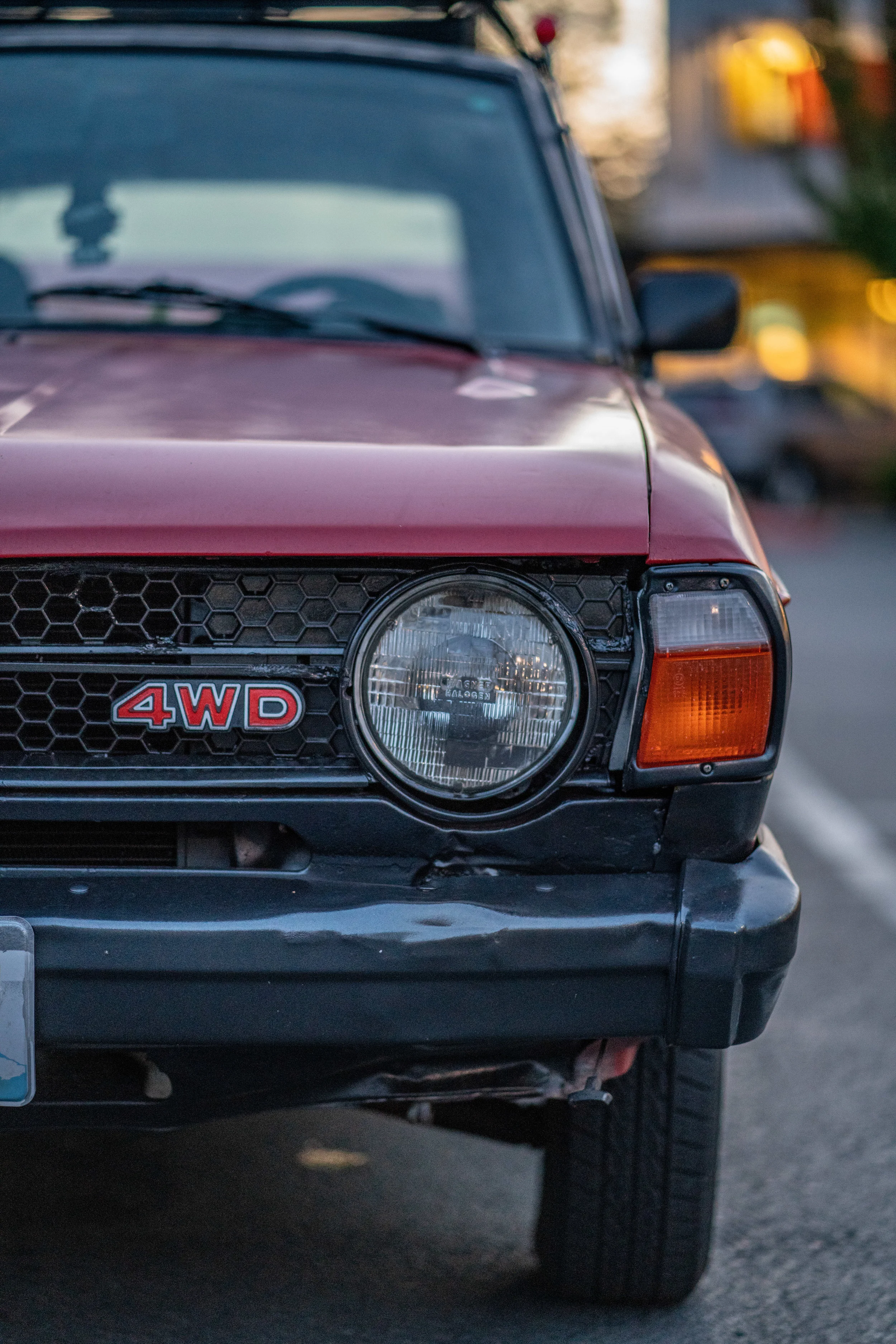 DSC03115-2.jpg
