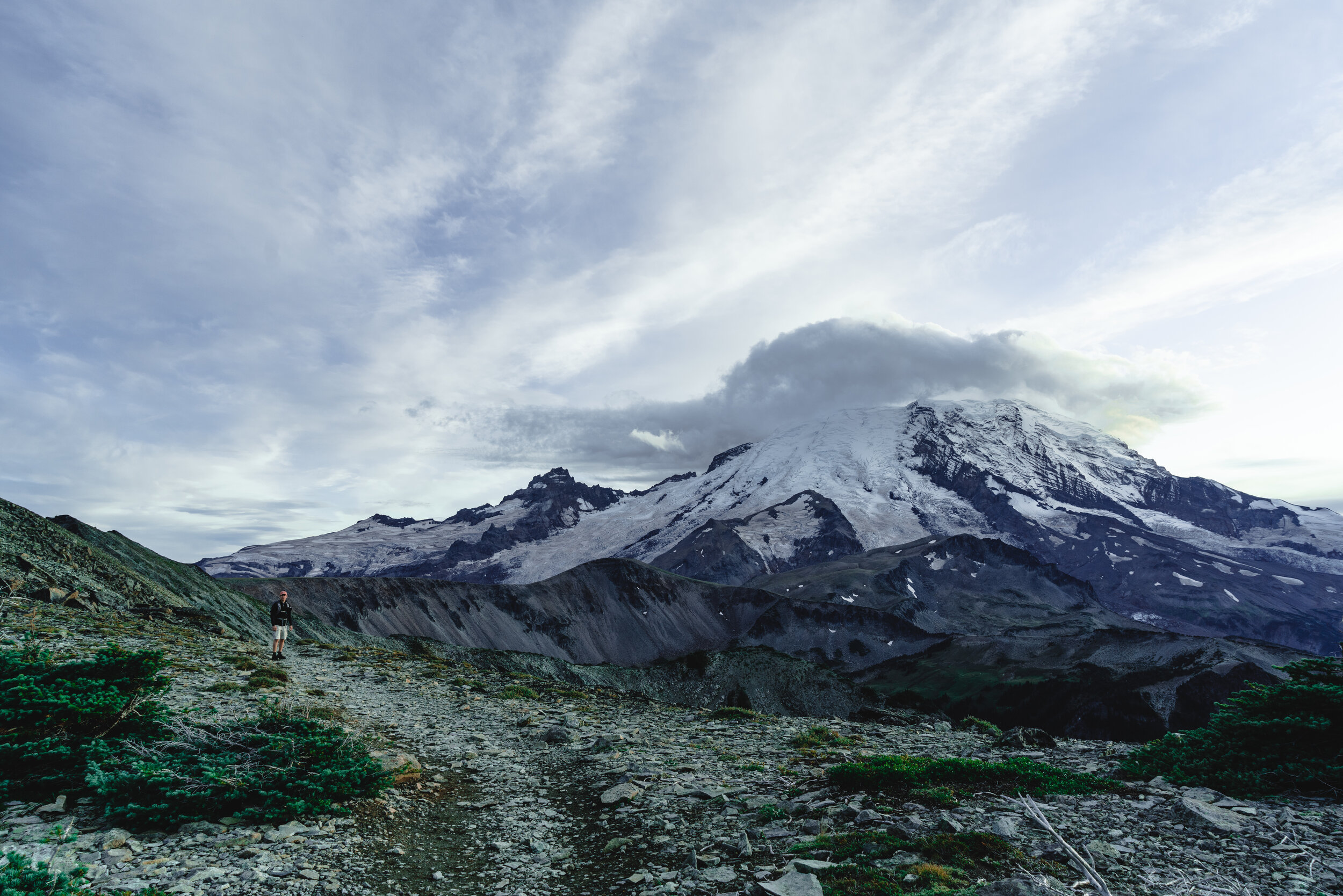 _DSC0687.jpg