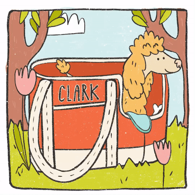 Clark_Process_GIF.gif