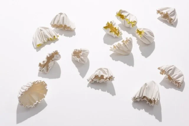 dow002_0009 (1).jpeg